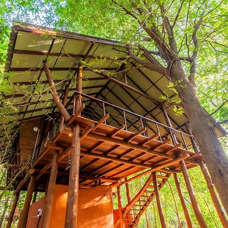 אנוראדפורה Kaala Kalaththewa Luxury Eco Resort מראה חיצוני תמונה