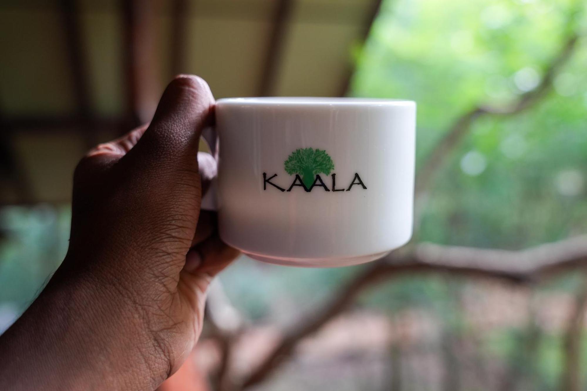 אנוראדפורה Kaala Kalaththewa Luxury Eco Resort מראה חיצוני תמונה