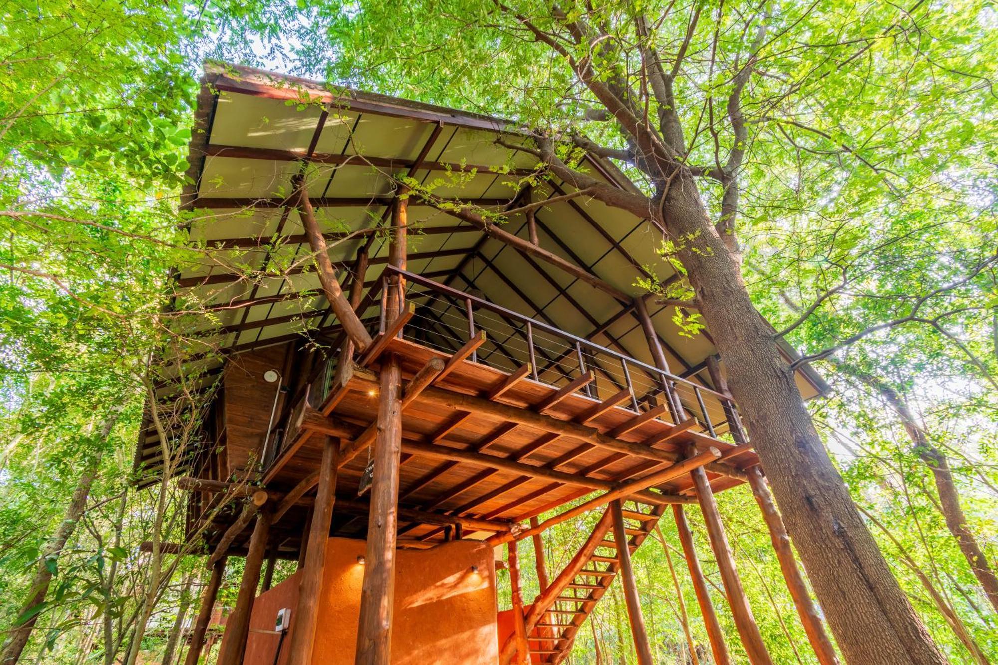 אנוראדפורה Kaala Kalaththewa Luxury Eco Resort מראה חיצוני תמונה