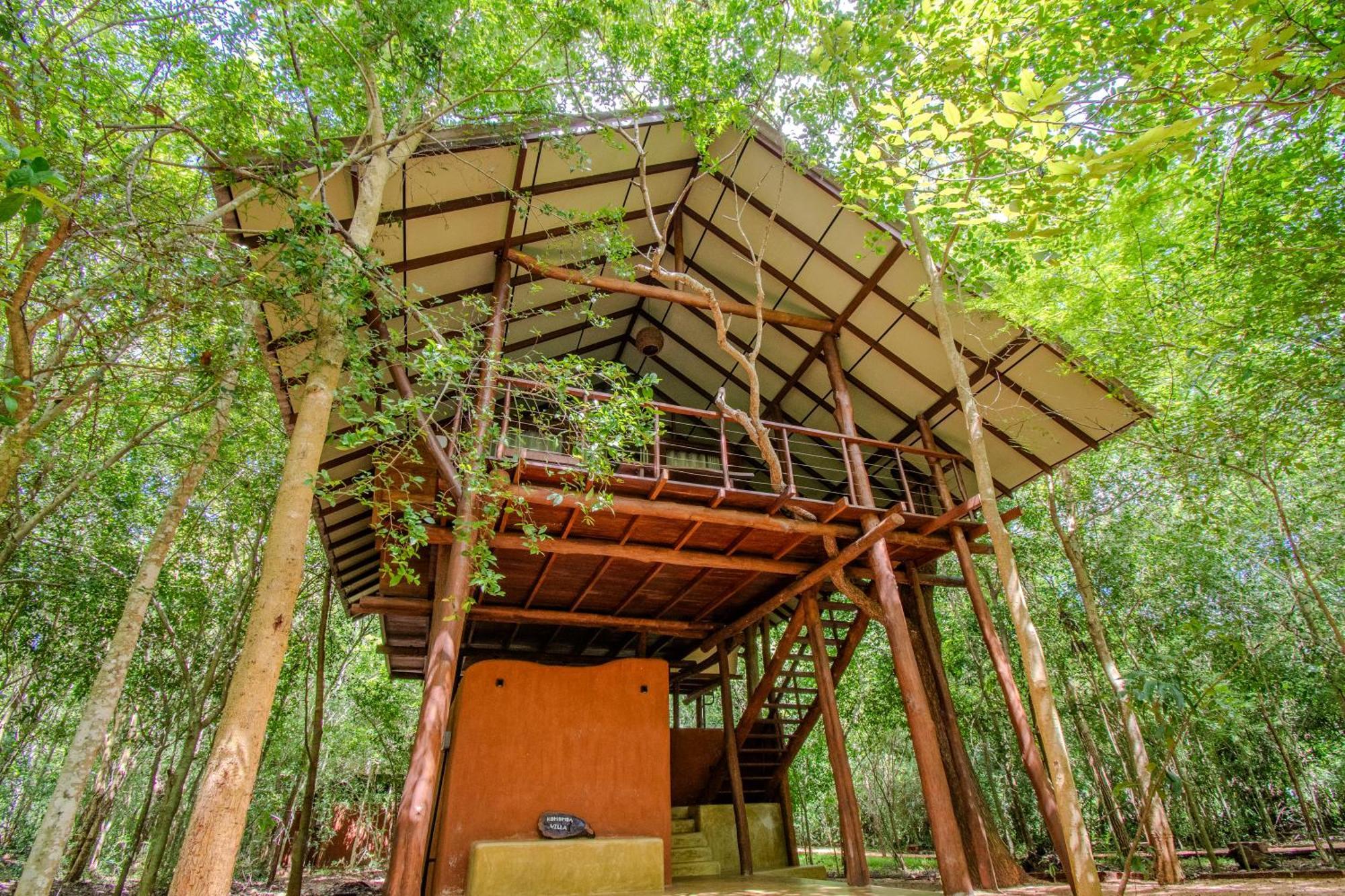 אנוראדפורה Kaala Kalaththewa Luxury Eco Resort מראה חיצוני תמונה