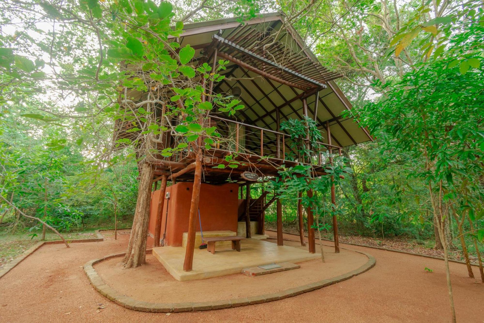 אנוראדפורה Kaala Kalaththewa Luxury Eco Resort מראה חיצוני תמונה