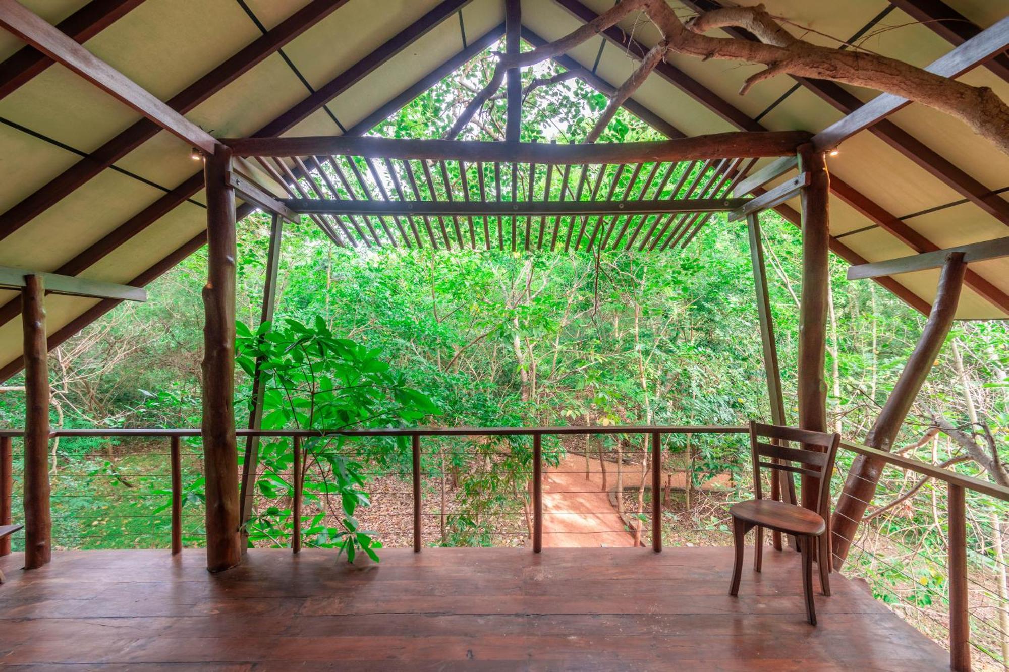 אנוראדפורה Kaala Kalaththewa Luxury Eco Resort מראה חיצוני תמונה