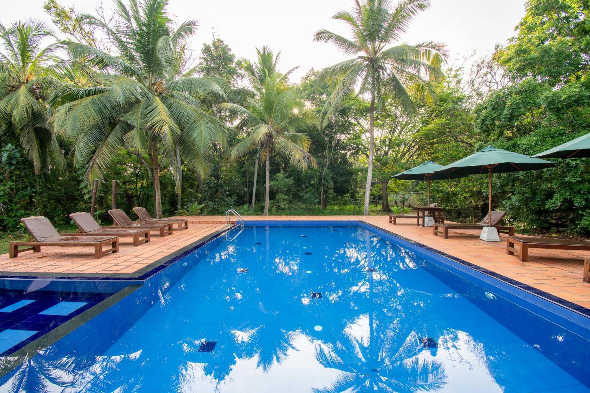 אנוראדפורה Kaala Kalaththewa Luxury Eco Resort מראה חיצוני תמונה